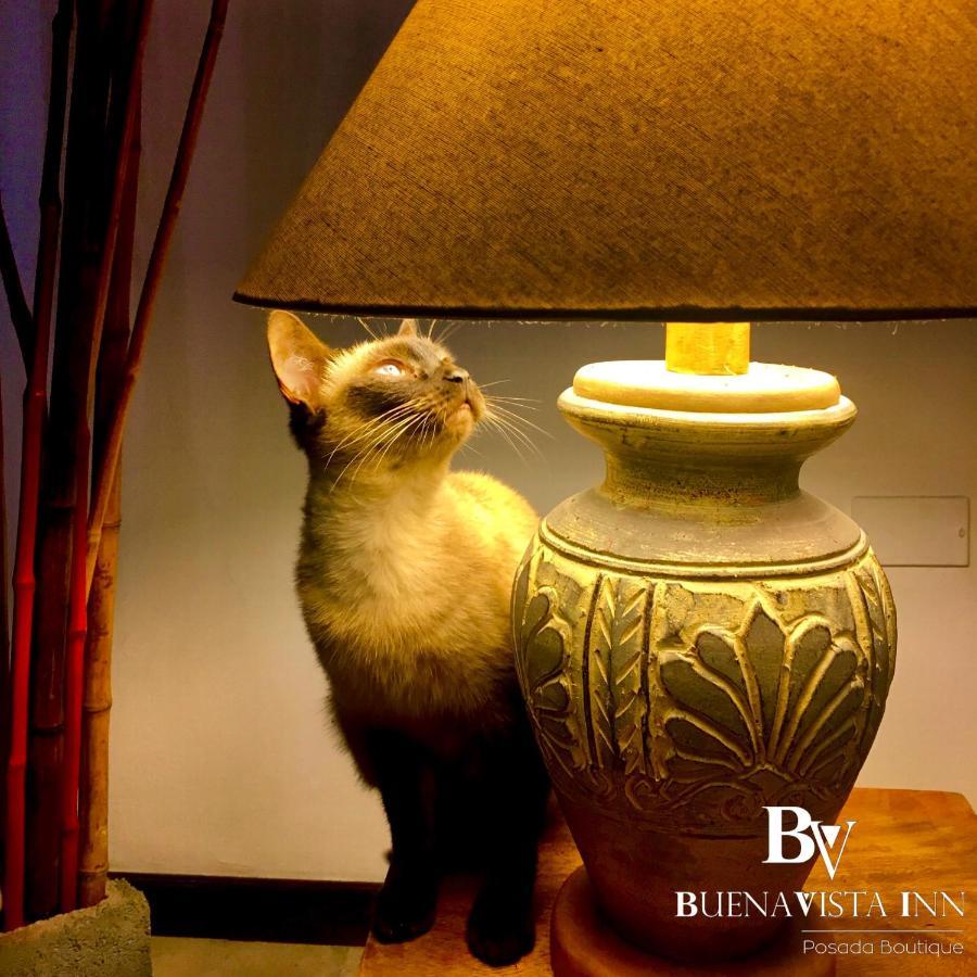 Buenavista Inn マイケティア エクステリア 写真