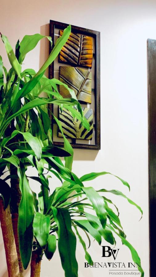Buenavista Inn マイケティア エクステリア 写真